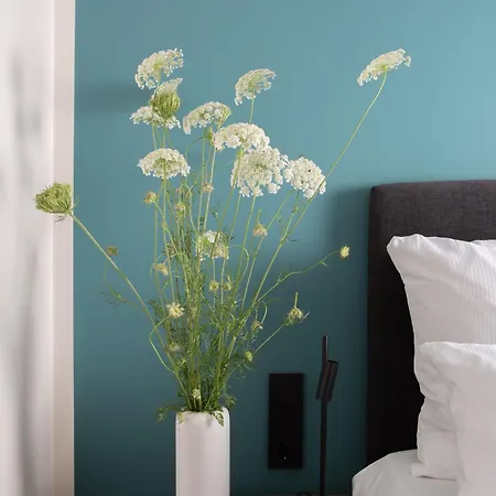 Kredell 3* نيكارغِموند